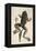Smithsonian Libraries: The Bull Frog by Mark Catesby-null-Framed Stretched Canvas