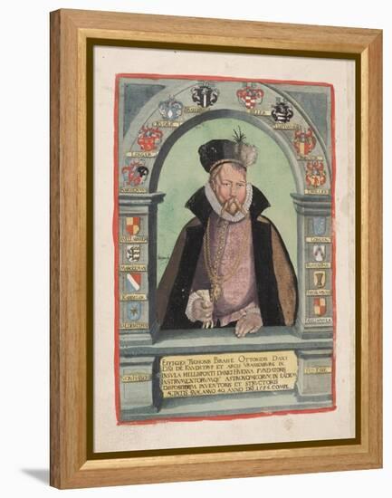 Smithsonian Libraries: Tycho Brahe-null-Framed Stretched Canvas