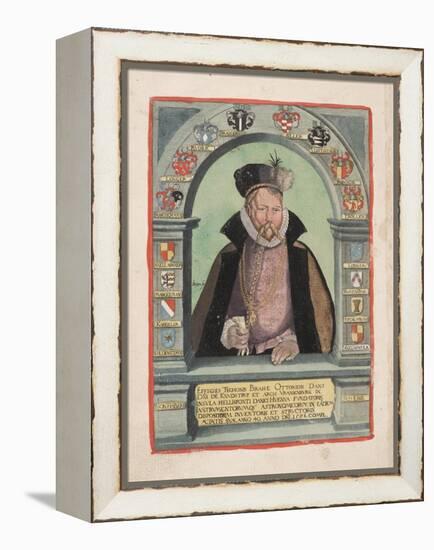 Smithsonian Libraries: Tycho Brahe-null-Framed Stretched Canvas