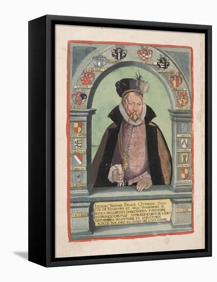 Smithsonian Libraries: Tycho Brahe-null-Framed Stretched Canvas