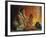 Smoke Ceremony-Eanger Irving Couse-Framed Giclee Print