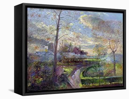 Smoke Drift, Autumn-Timothy Easton-Framed Premier Image Canvas