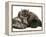 Smoke Exotic Kitten Curled up with Sleeping Brindle English Mastiff Puppy-Jane Burton-Framed Premier Image Canvas