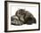 Smoke Exotic Kitten Curled up with Sleeping Brindle English Mastiff Puppy-Jane Burton-Framed Photographic Print