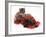 Smoke Exotic Kitten with Brindle English Mastiff Puppy Wrapped with Christmas Tinsel-Jane Burton-Framed Photographic Print