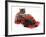 Smoke Exotic Kitten with Brindle English Mastiff Puppy Wrapped with Christmas Tinsel-Jane Burton-Framed Photographic Print