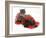 Smoke Exotic Kitten with Brindle English Mastiff Puppy Wrapped with Christmas Tinsel-Jane Burton-Framed Photographic Print