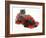 Smoke Exotic Kitten with Brindle English Mastiff Puppy Wrapped with Christmas Tinsel-Jane Burton-Framed Photographic Print