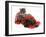 Smoke Exotic Kitten with Brindle English Mastiff Puppy Wrapped with Christmas Tinsel-Jane Burton-Framed Photographic Print