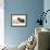 Smoke Exotic Kitten with Pekingese Puppy-Jane Burton-Framed Photographic Print displayed on a wall