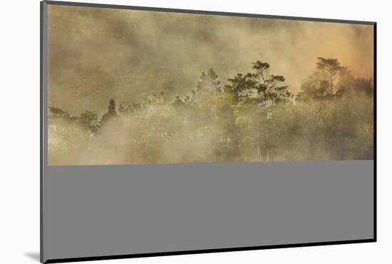Smoke from a fire drifts across rainforest, near San Juan, Siquijor, Philippines, Southeast Asia, A-Nigel Hicks-Mounted Photographic Print