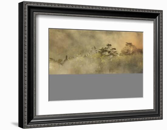 Smoke from a fire drifts across rainforest, near San Juan, Siquijor, Philippines, Southeast Asia, A-Nigel Hicks-Framed Photographic Print