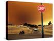 Stretched Canvas Print