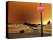 Stretched Canvas Print