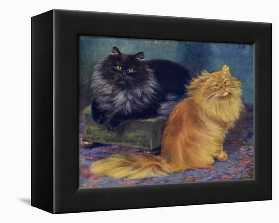 Smoke, Orange Persians-W. Luker-Framed Premier Image Canvas