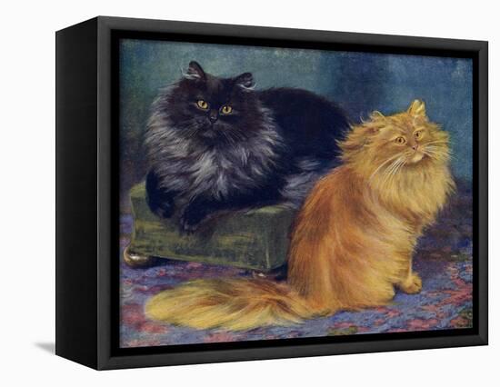 Smoke, Orange Persians-W. Luker-Framed Premier Image Canvas