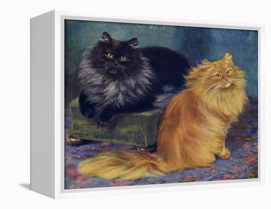 Smoke, Orange Persians-W. Luker-Framed Premier Image Canvas