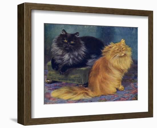 Smoke, Orange Persians-W. Luker-Framed Photographic Print