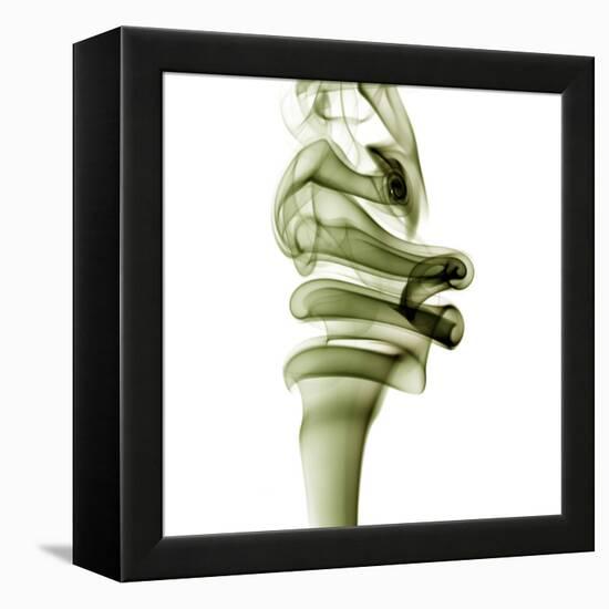 Smoke-null-Framed Premier Image Canvas