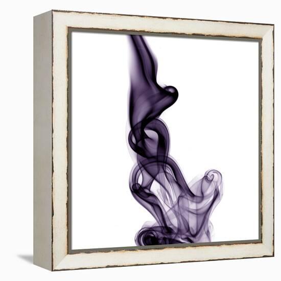 Smoke-null-Framed Premier Image Canvas