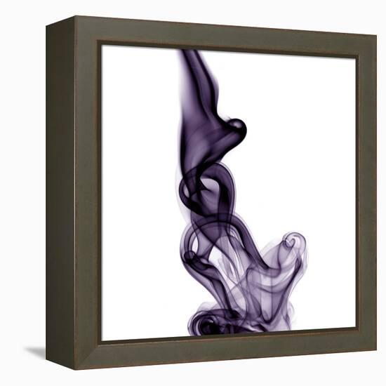 Smoke-null-Framed Premier Image Canvas