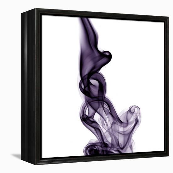 Smoke-null-Framed Premier Image Canvas