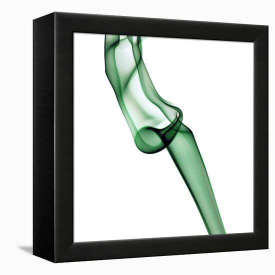 Smoke-null-Framed Premier Image Canvas