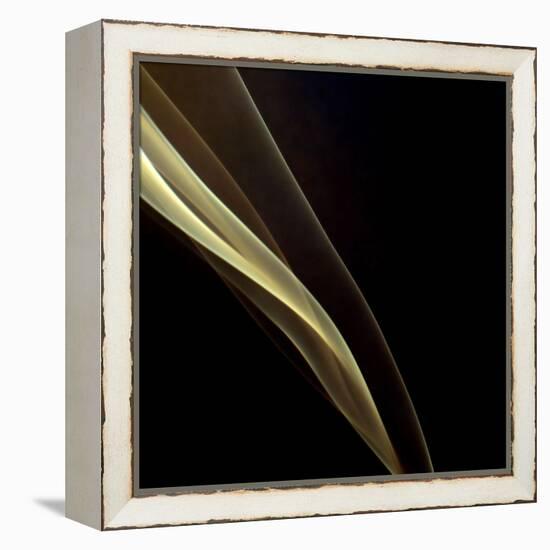 Smoke-null-Framed Premier Image Canvas