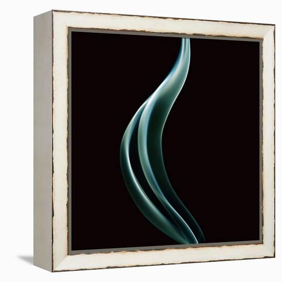 Smoke-null-Framed Premier Image Canvas