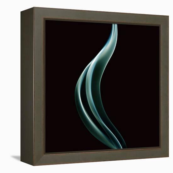 Smoke-null-Framed Premier Image Canvas