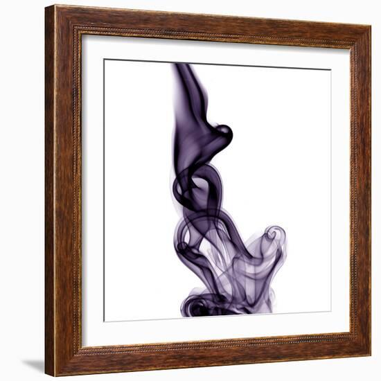 Smoke-null-Framed Photographic Print