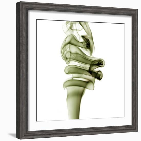 Smoke-null-Framed Photographic Print