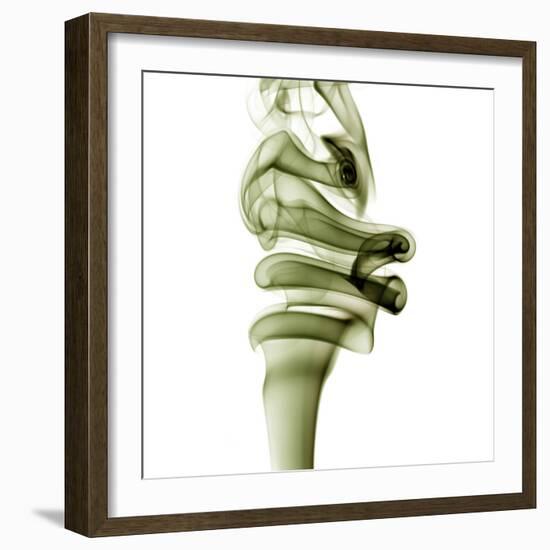 Smoke-null-Framed Photographic Print