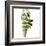 Smoke-null-Framed Premium Photographic Print