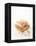 Smoked Chicken Breast on Baguette-Marc O^ Finley-Framed Premier Image Canvas
