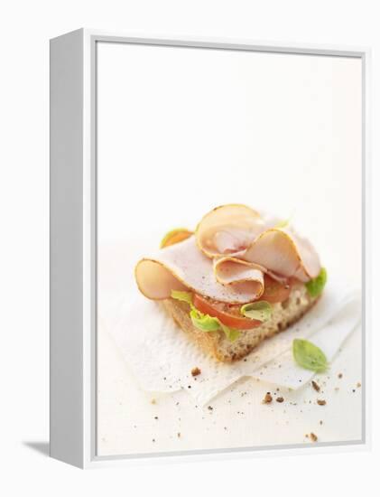 Smoked Chicken Breast on Baguette-Marc O^ Finley-Framed Premier Image Canvas