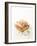 Smoked Chicken Breast on Baguette-Marc O^ Finley-Framed Photographic Print