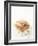 Smoked Chicken Breast on Baguette-Marc O^ Finley-Framed Photographic Print