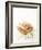 Smoked Chicken Breast on Baguette-Marc O^ Finley-Framed Photographic Print