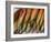 Smoked Mackerel, Bergen's Fish Market, Norway-Russell Young-Framed Photographic Print