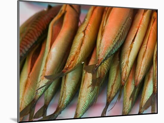 Smoked Mackerel, Bergen's Fish Market, Norway-Russell Young-Mounted Photographic Print