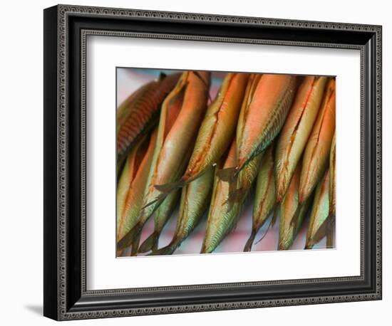 Smoked Mackerel, Bergen's Fish Market, Norway-Russell Young-Framed Photographic Print