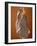 Smoked Venison Ham-null-Framed Photographic Print