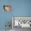 Smokey And The Bandit, Jackie Gleason, Burt Reynolds, 1977-null-Photo displayed on a wall