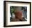 Smokey and the Bandit-null-Framed Photo