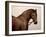 Smokey-Sydney Edmunds-Framed Giclee Print