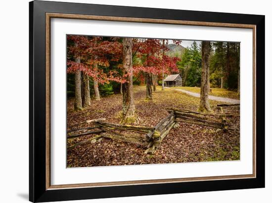 Smokies Cabin-Robert Lott-Framed Art Print