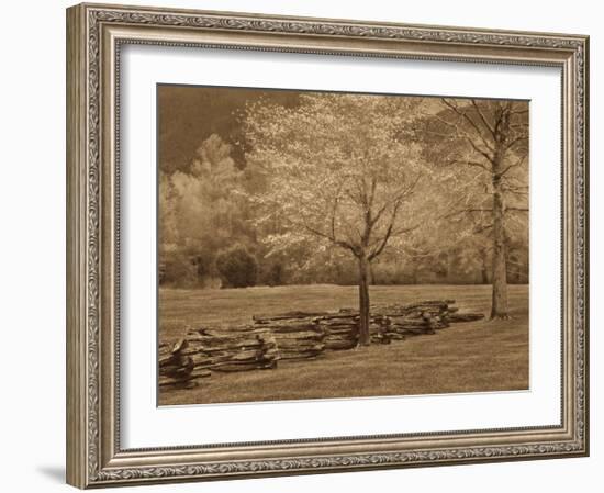 Smokies Fence-Wendy Caro-Framed Giclee Print