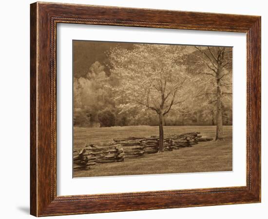 Smokies Fence-Wendy Caro-Framed Giclee Print