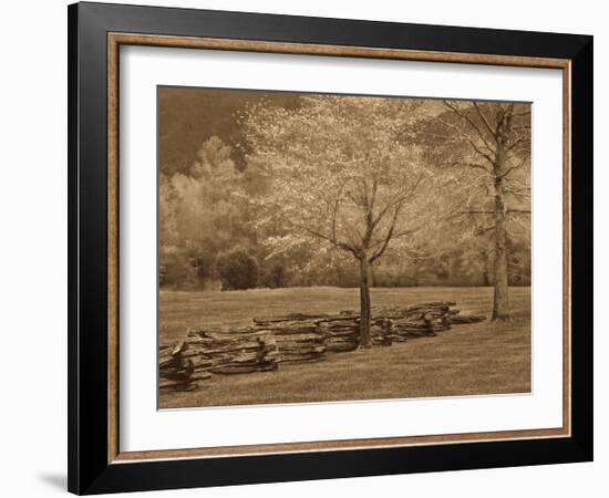 Smokies Fence-Wendy Caro-Framed Giclee Print